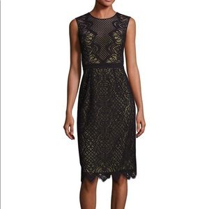 NWT Susannah BCBG Dress